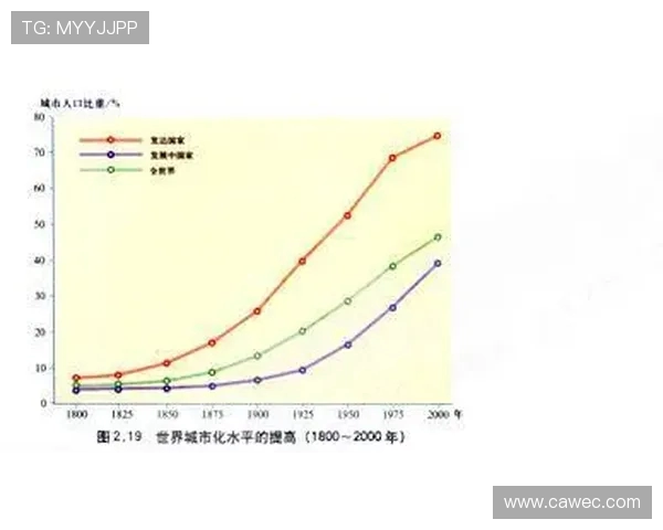 西安篮球队运营模式分析与发展前景探讨