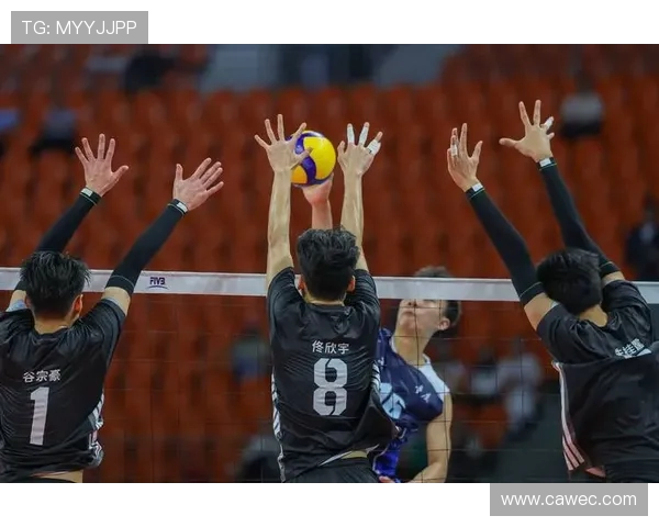 重庆排球队个人能力排名创新高展现新风貌与实力提升