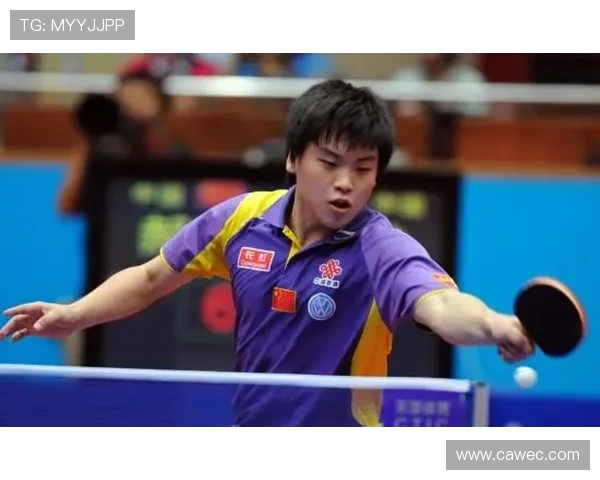 王皓与郝帅2003年巅峰对决回顾乒乓球赛场的经典瞬间与激情碰撞