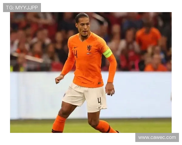 范戴克的坚韧之路：从默默无闻到足球世界的顶尖后卫