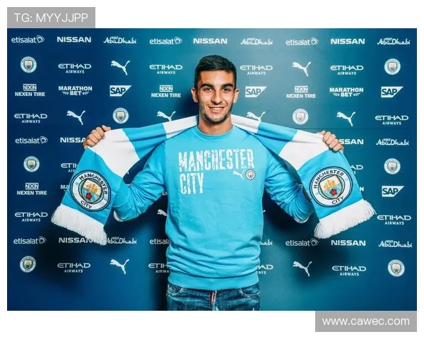 费兰托雷斯的足球之路：从青训崭露头角到国际赛场的闪耀表现