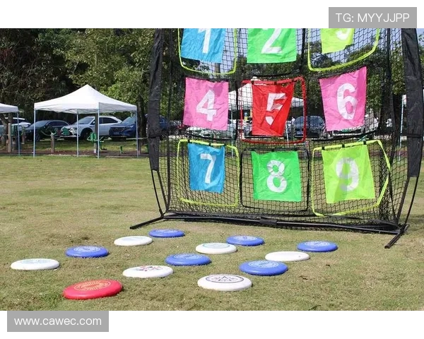 飞盘比赛经验排行榜揭晓西安飞盘队荣获第五名成就引关注 飞盘比赛经验排行榜揭晓西安飞盘队荣获第五名成就引关注