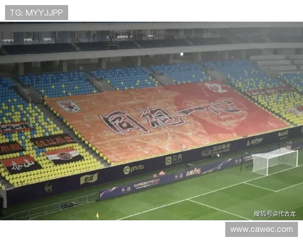 成都羽毛球队运营揭秘：深度解析其成功背后的策略与管理模式