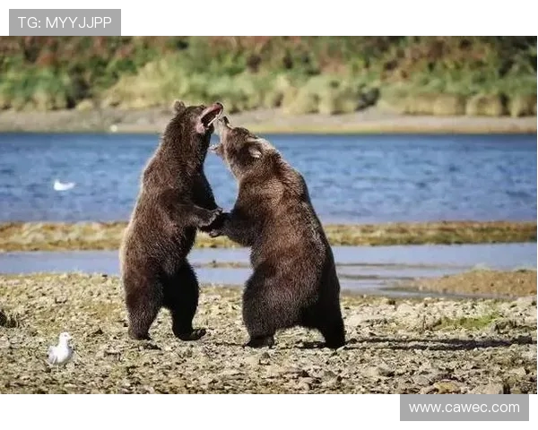 极限运动的成功秘诀刘敏分享她的心路历程与挑战经历