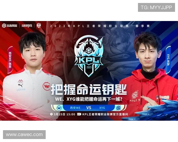 王者荣耀战队WE的比赛经验分析与策略探讨